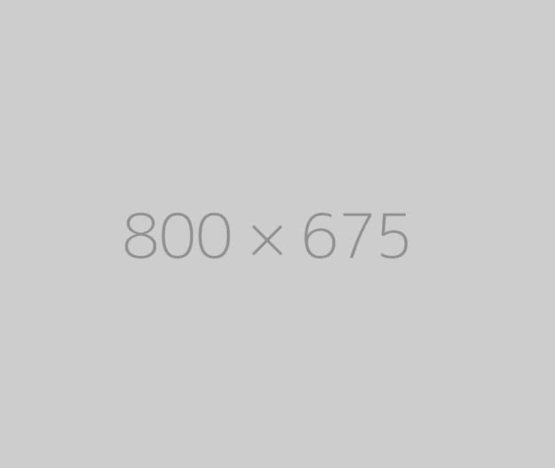 hongo 800x675-ph