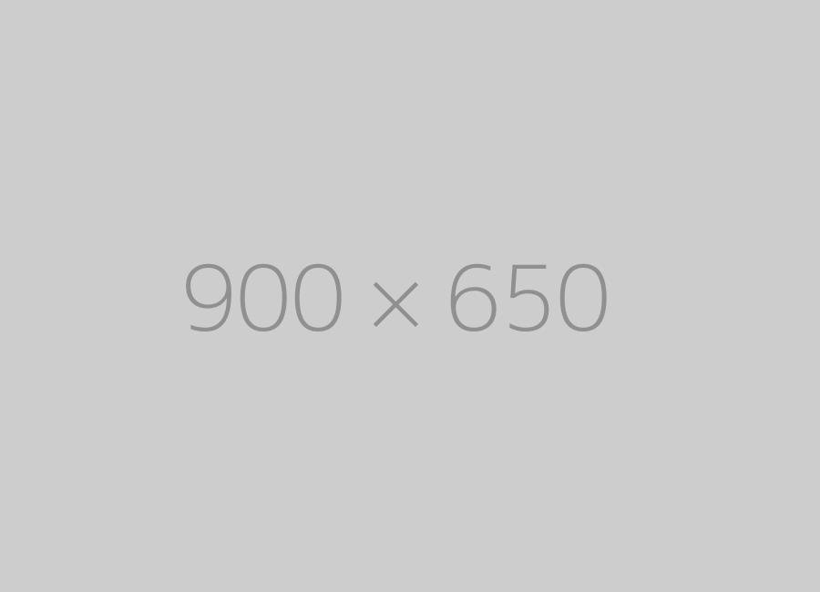 hongo 900x650-ph
